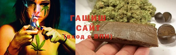 стафф Алзамай